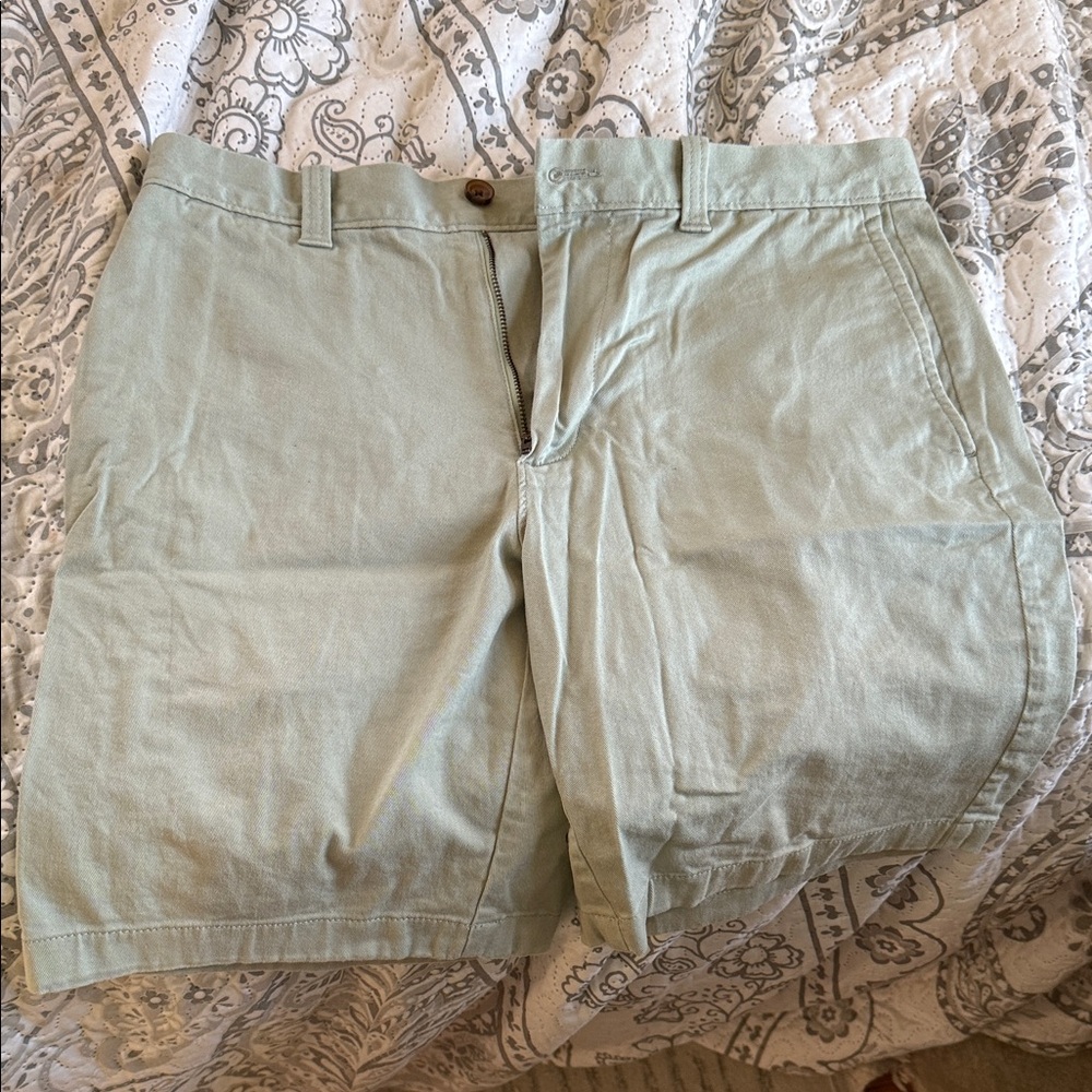 J. Crew Men's Mint Green Flat Front Shorts